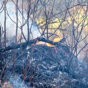 גבריאל ורסנו שמאים | המומחיות שלנו, השקט שלכם!